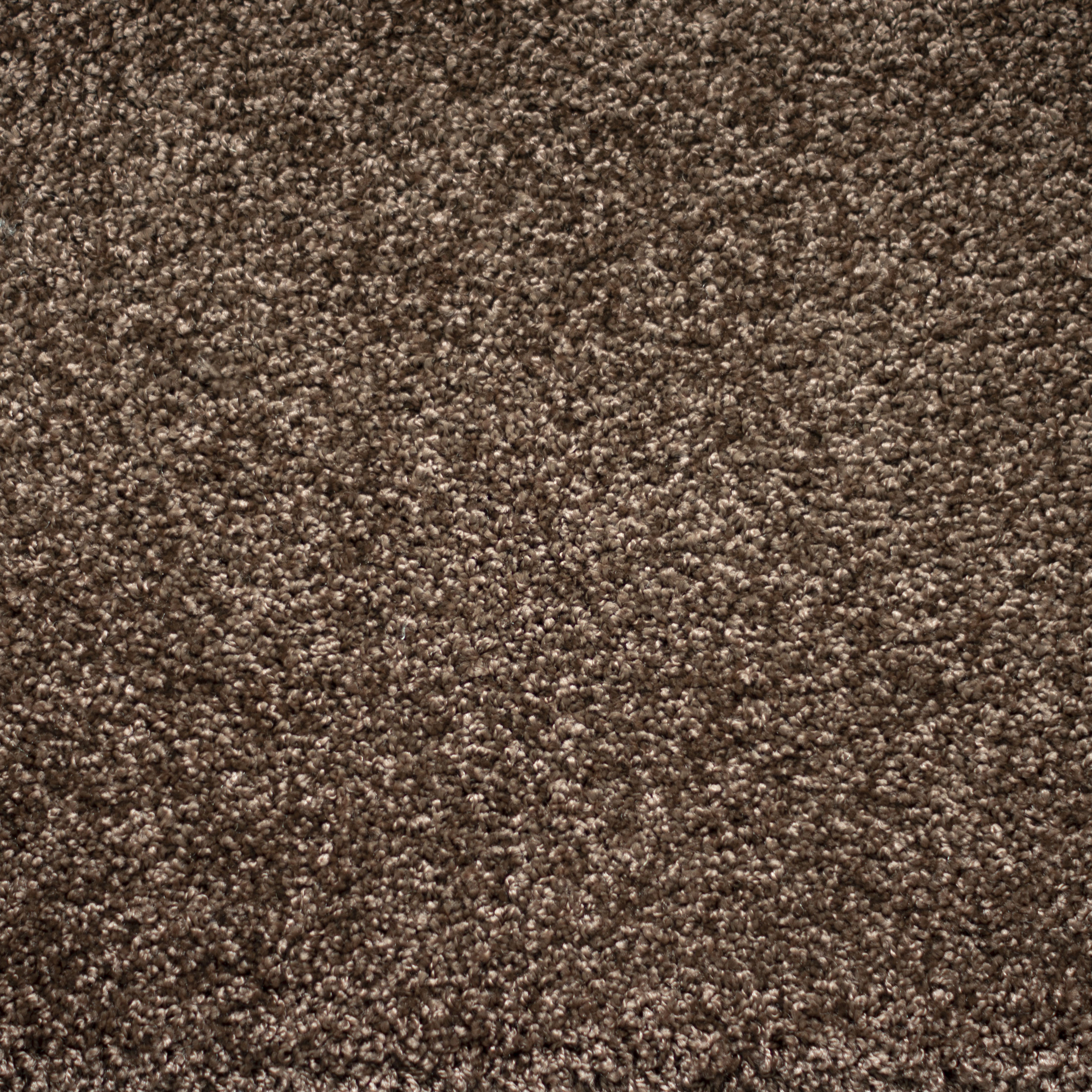 Ковролин "Зартекс" Tesoro 156 коричневый (4м) — купить в Севастополе