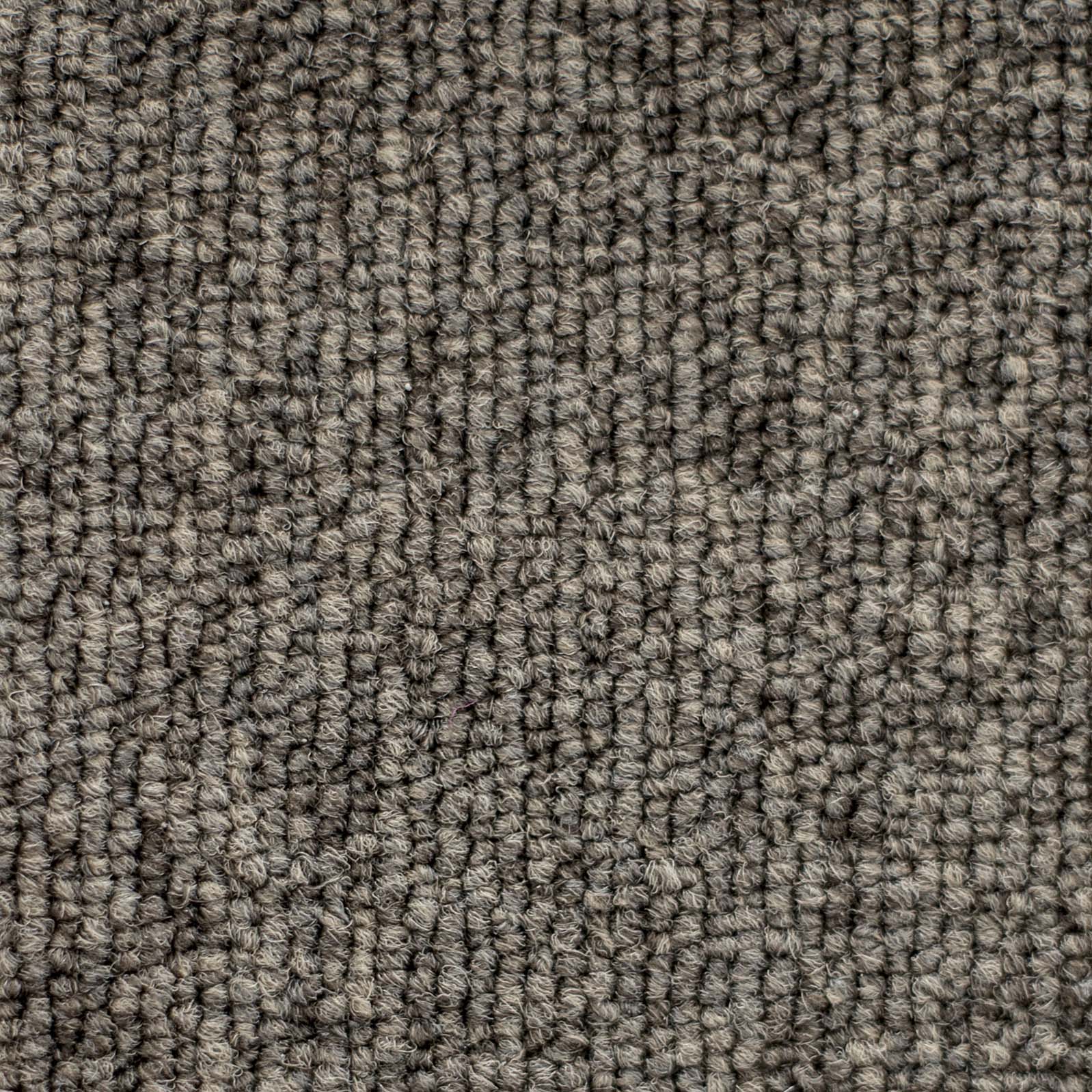 Ковролин "Зартекс" Daily 68 коричневый (4м) — купить в Севастополе