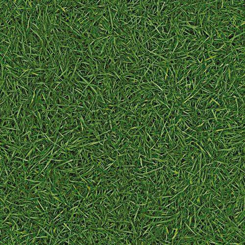 Линолеум бытовой "IVC" Neo Grass 25 (4м) — купить в Севастополе