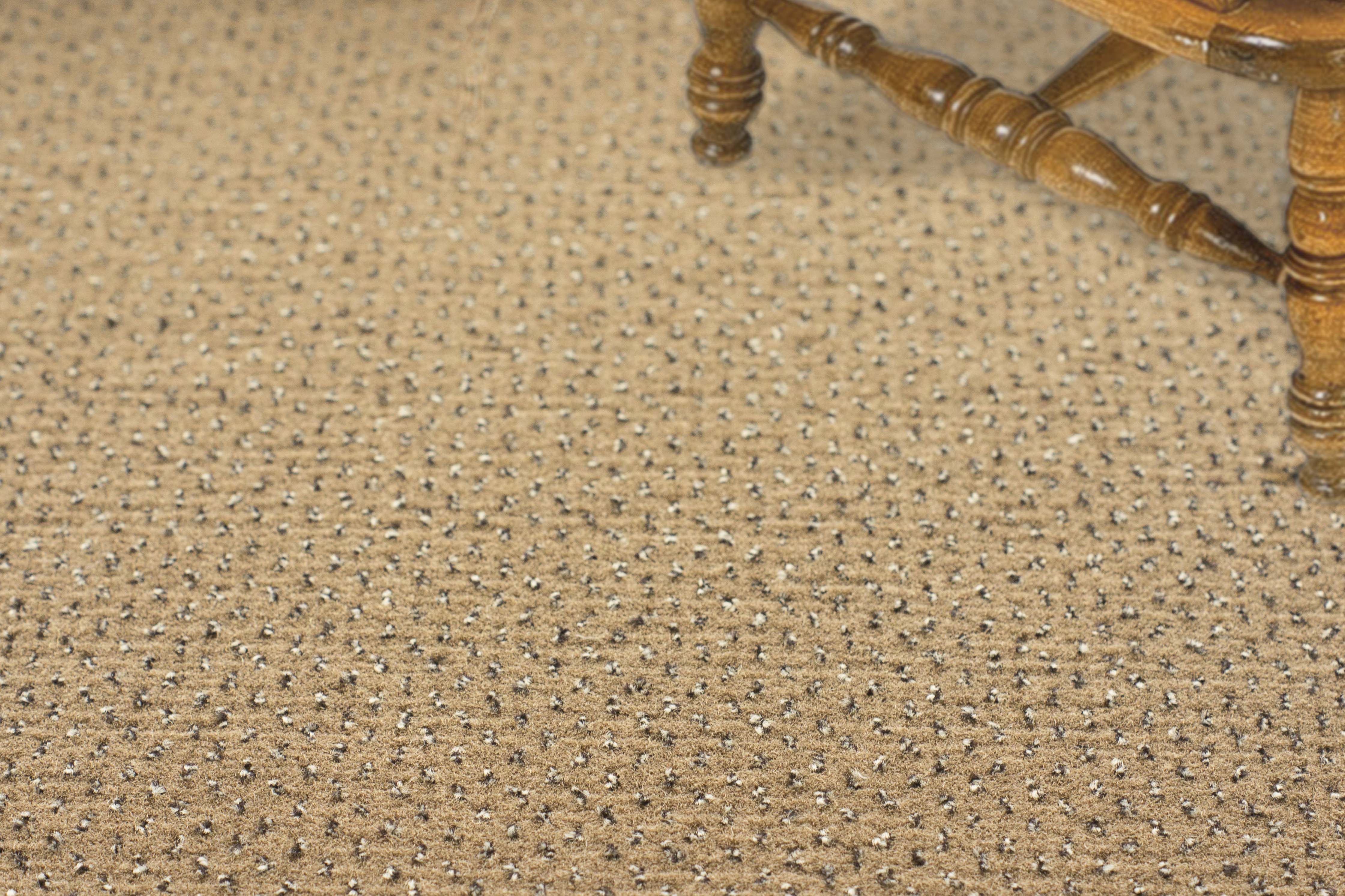 Ковролин "Зартекс" Eternity 142 бежевый (4м) — купить в Севастополе