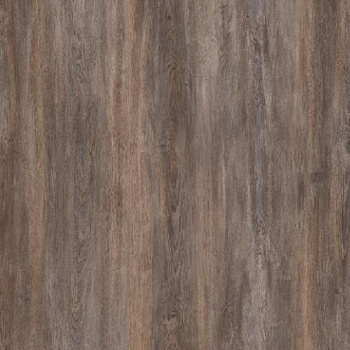 Ламинат "SunFloor" 8/33 4NV Дуб Бремен 61 (1380*159*8 мм) — фото и характеристики